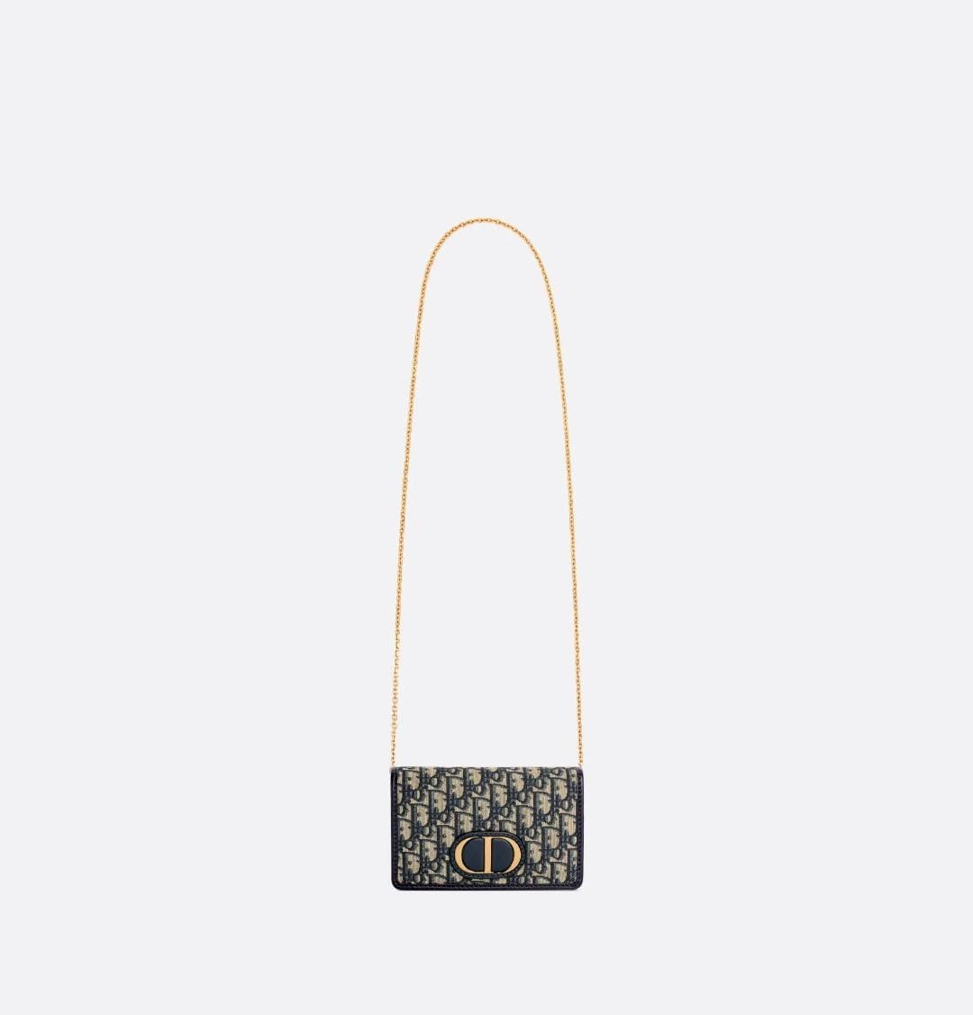 MONTAIGNE OBLIQUE BELT BAG